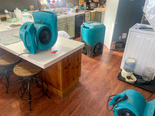 Best Fire Damage Restoration  in Red Oak, IA