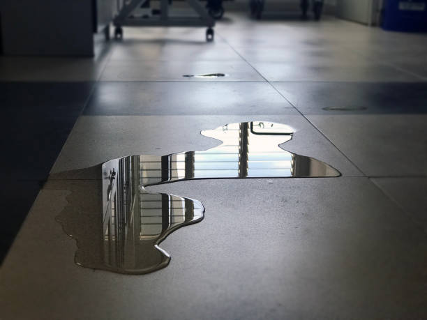 Best Water damage restoration process  in Red Oak, IA