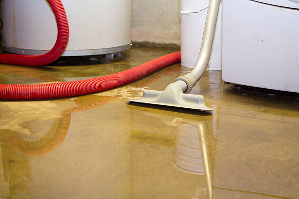 Best Sewage cleanup and water damage restoration  in Red Oak, IA