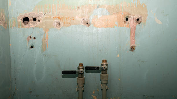 Best Local water damage restoration  in Red Oak, IA